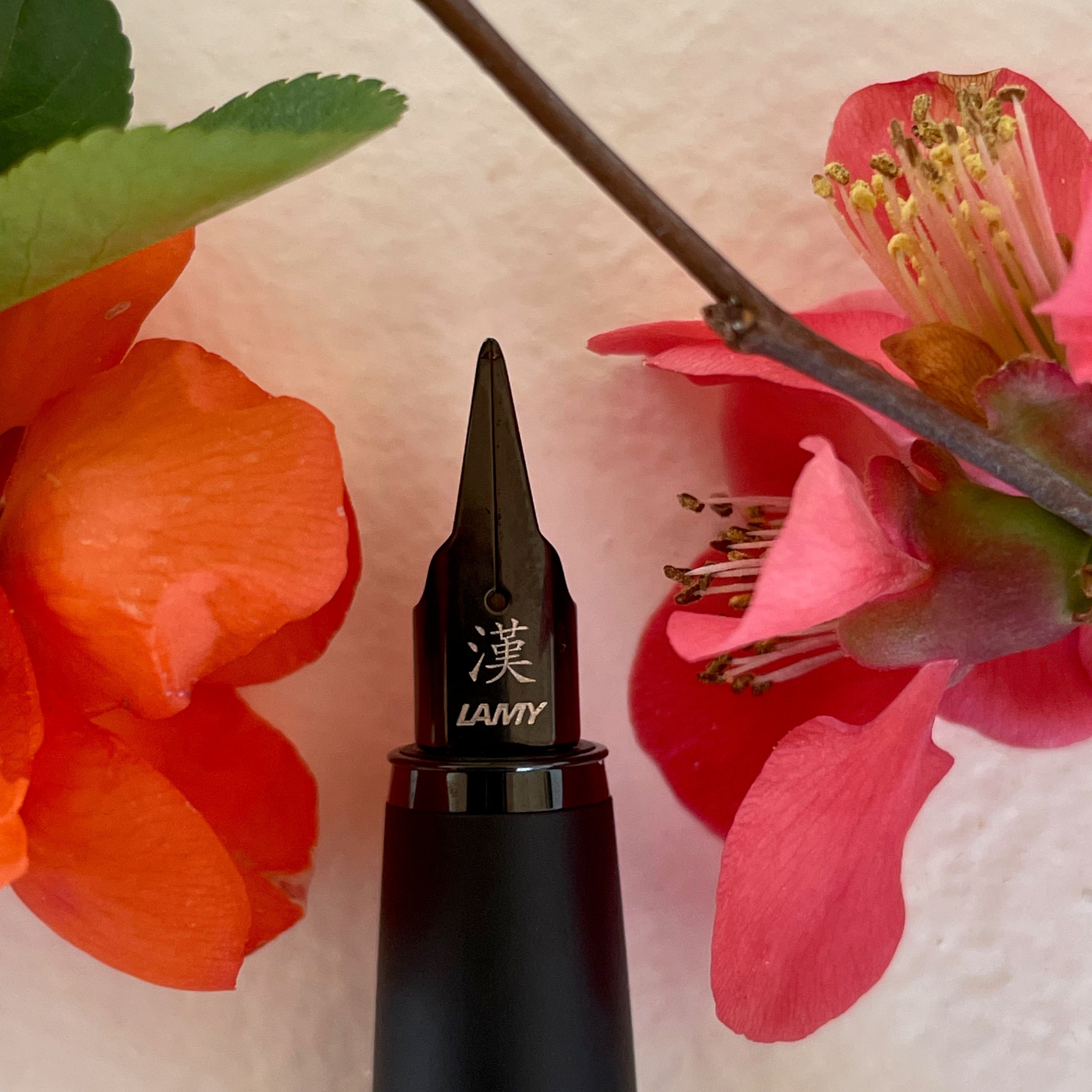 Falling in Love... with the Lamy Cursive Nib - Pen Boutique Ltd