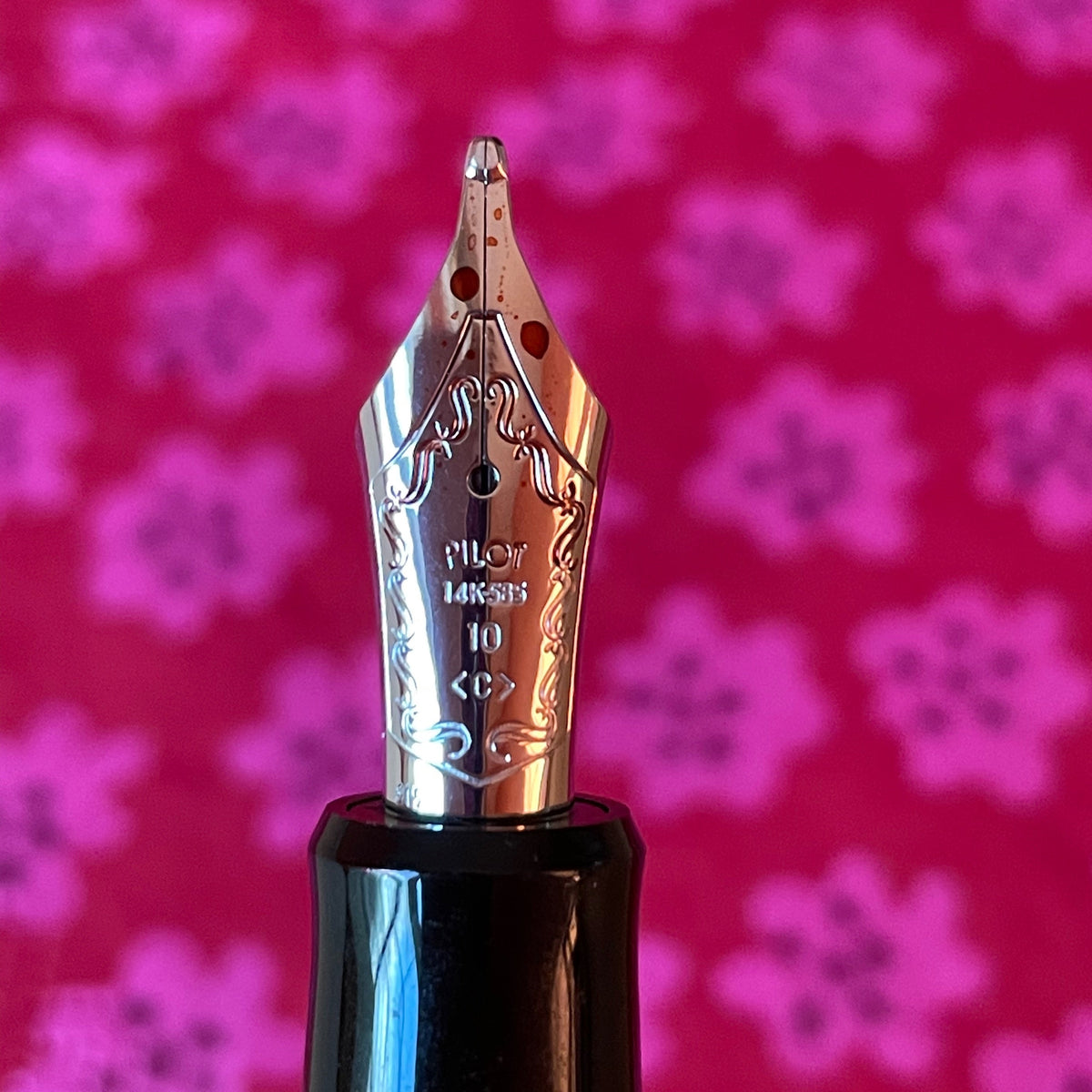 A Pilot Pen Geek's Dream - Comparing all 15 Nib Options! - Pen Boutique Ltd