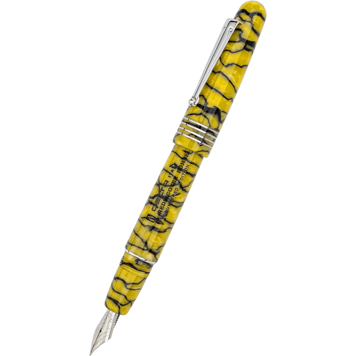 Delta Limited Edition Fountain Pen - Rediscover Pompei - Pen Boutique Ltd