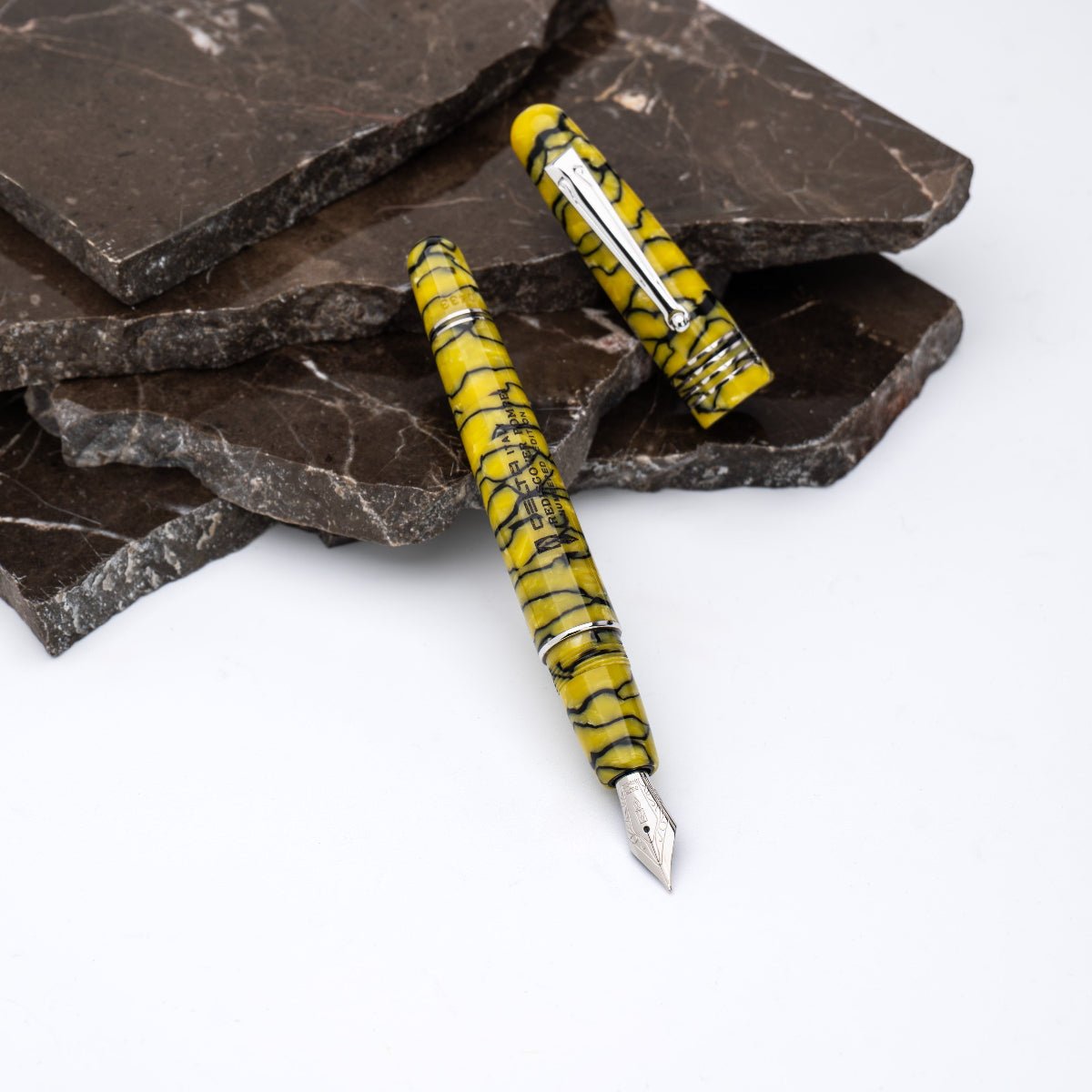 Delta Limited Edition Fountain Pen - Rediscover Pompei - Pen Boutique Ltd