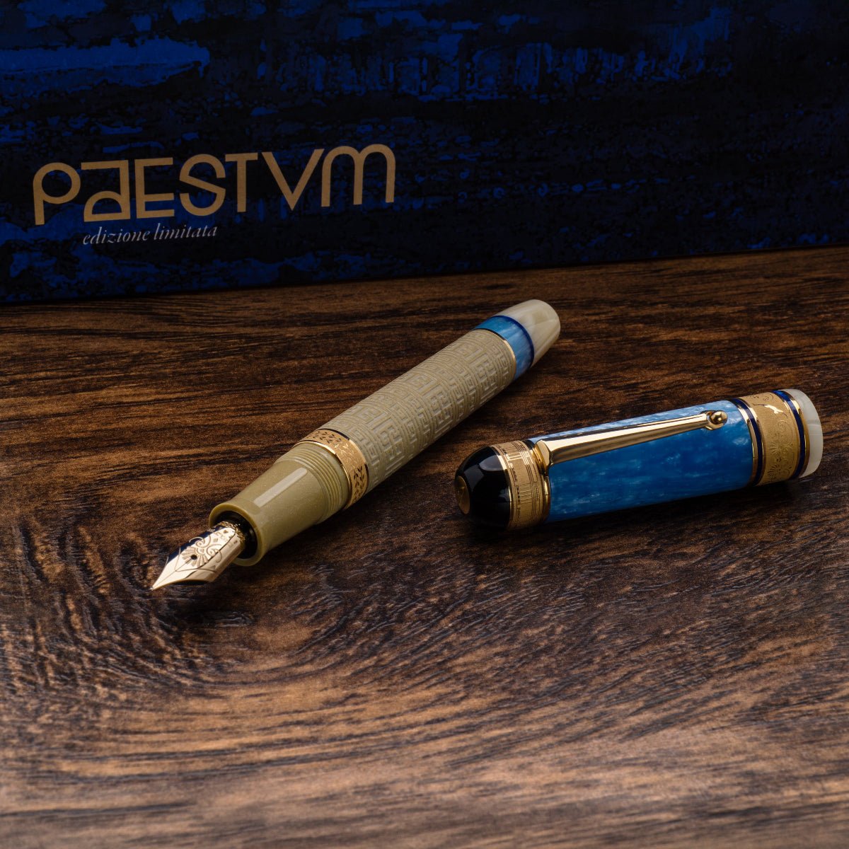 Delta Paestum Fountain Pen - (Limited Edition) - Pen Boutique Ltd