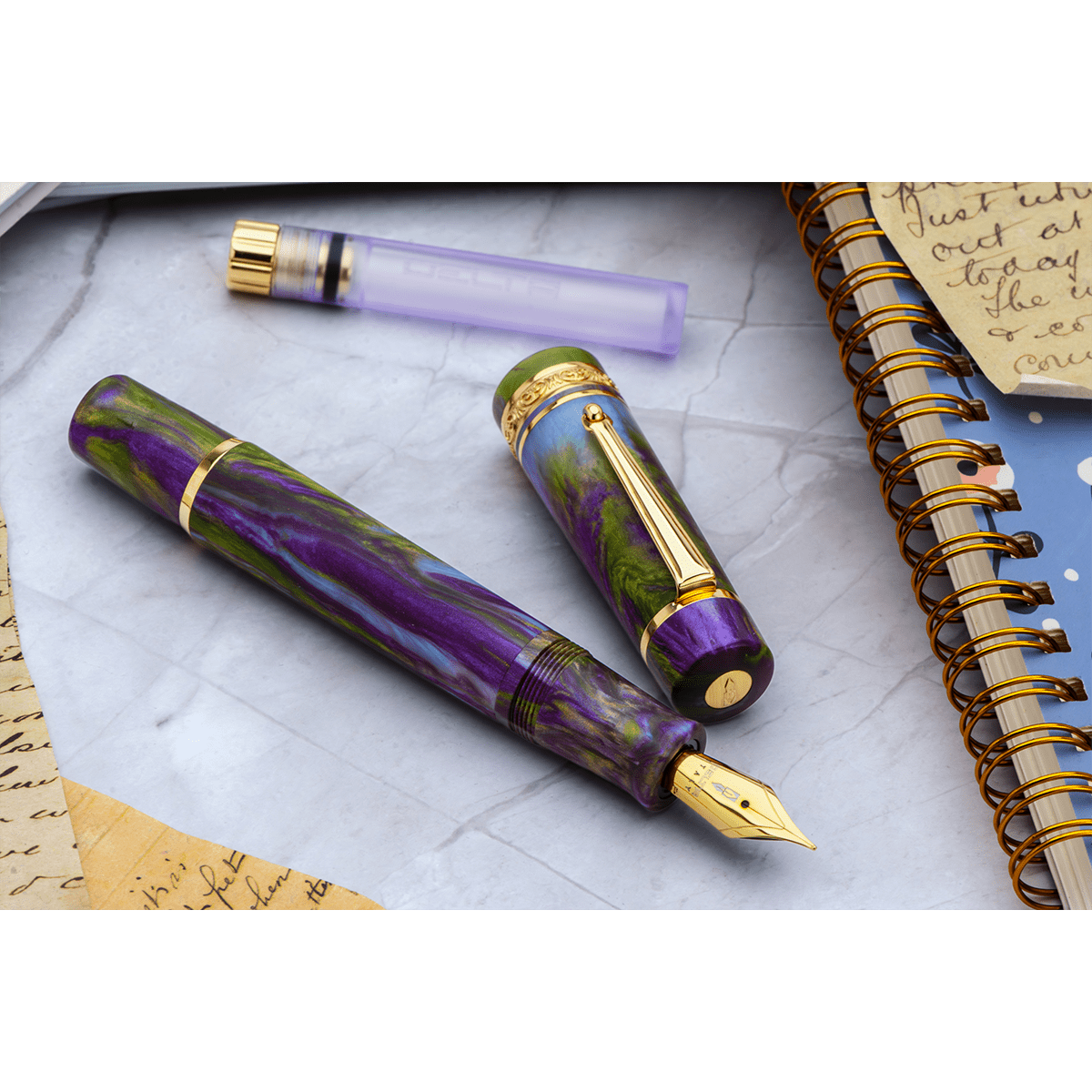 Delta Reservoir 2.0 Fountain Pen - Wisteria Walk - Yellow Gold Trim (Limited Edition) - Pen Boutique Ltd