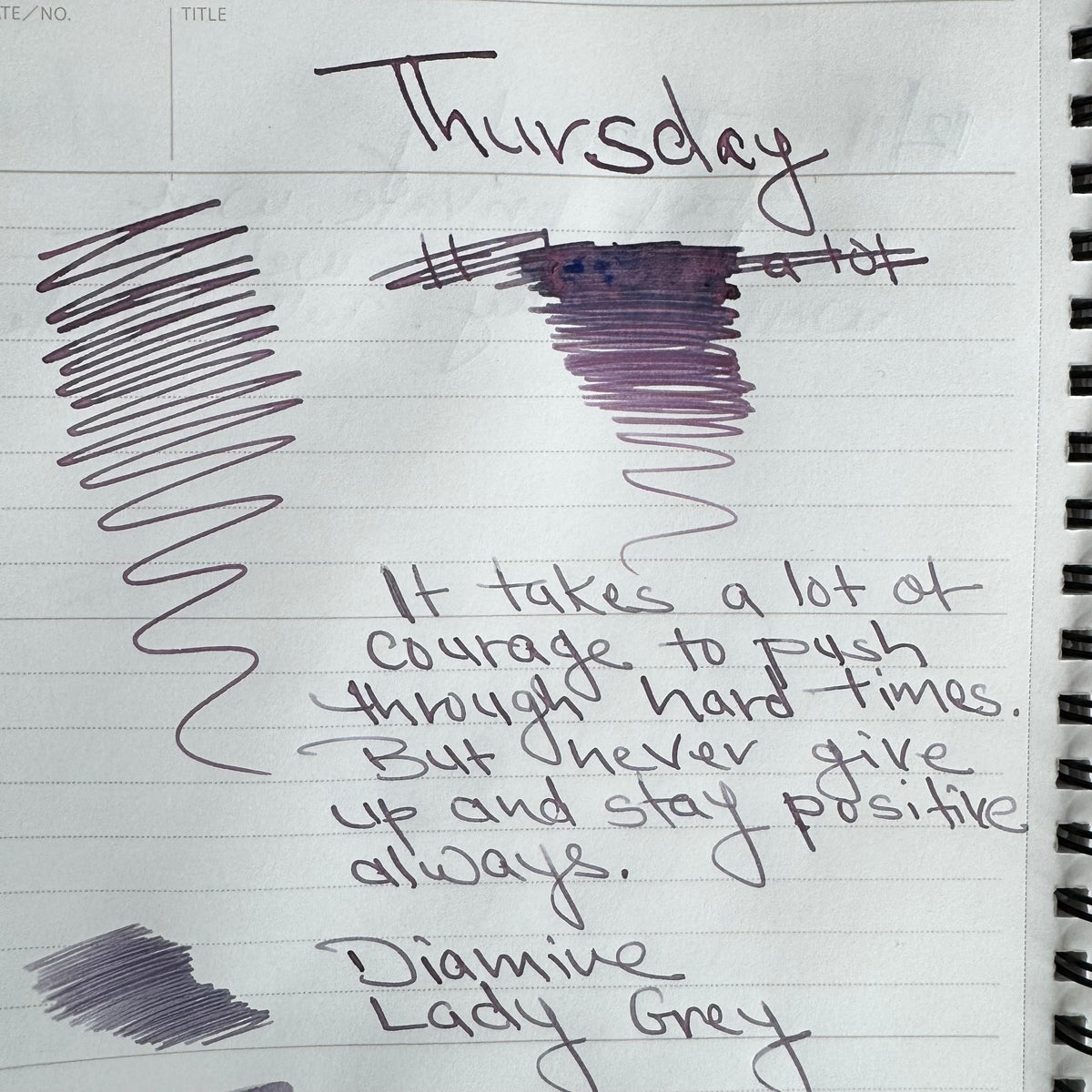 Diamine Ink Bottle - Lady Grey (Reddit 2025) - 80 ml - Pen Boutique Ltd
