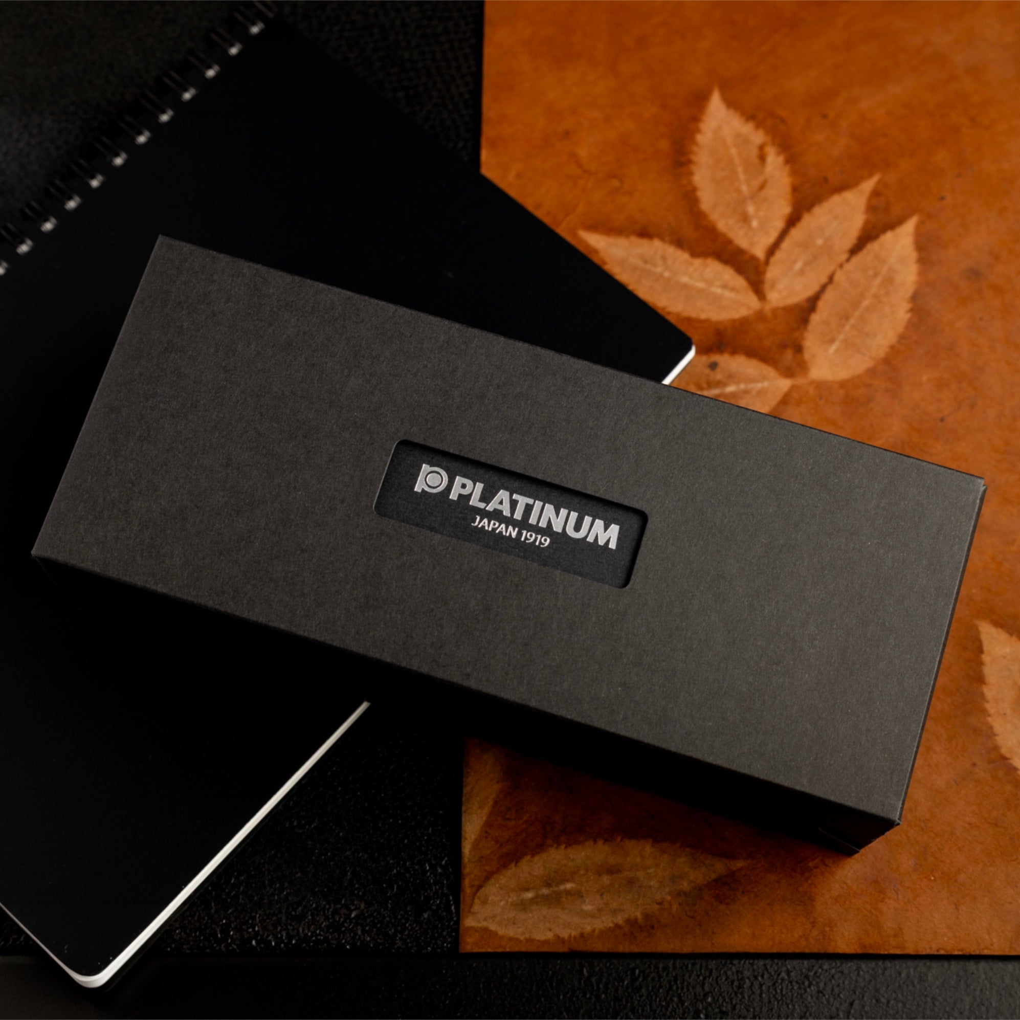 Platinum 3776 Century Ver 2.0 Fountain Pen - Demonstrator (Limited Edition) - Pen Boutique Ltd