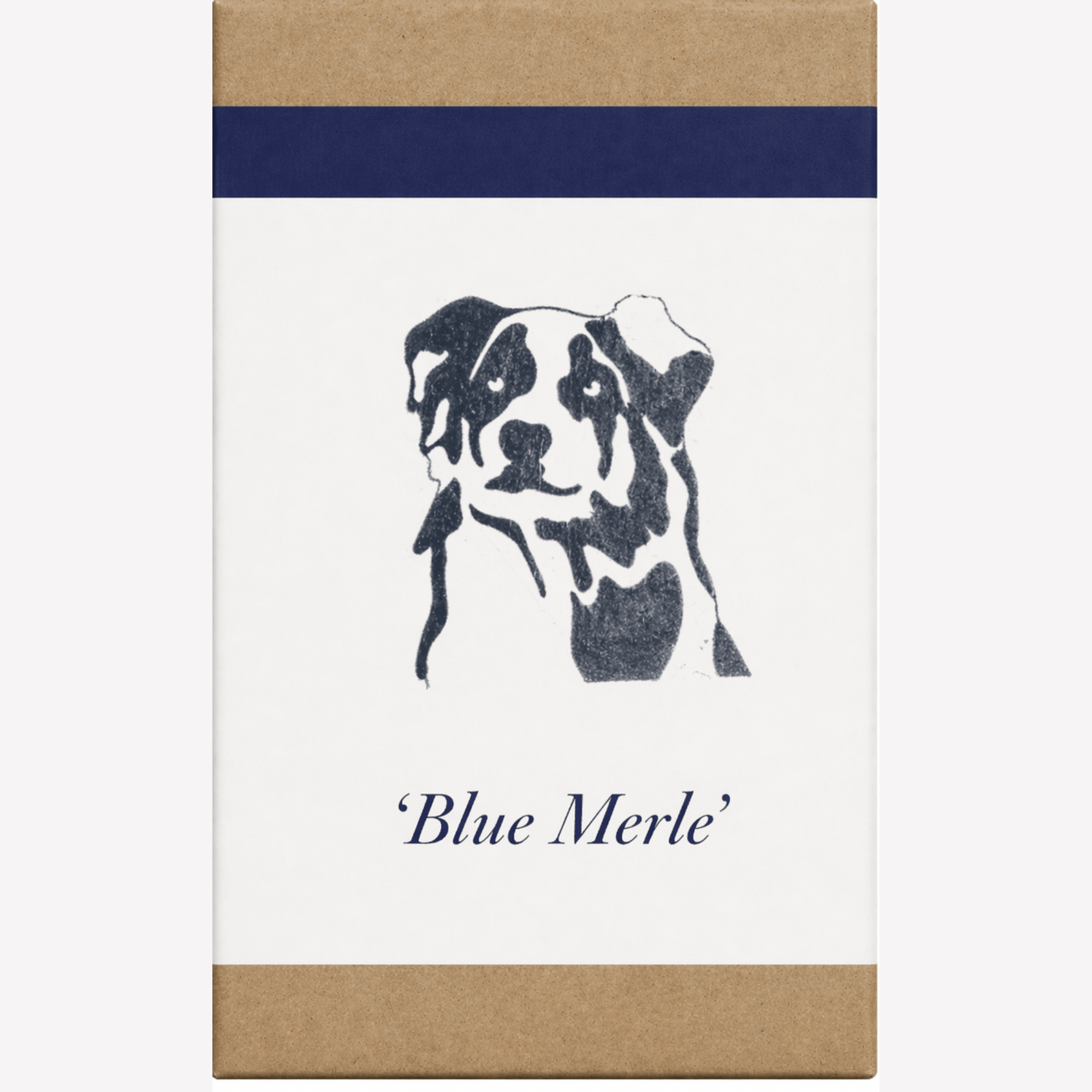 Organics Studio Vintage Writing Ink Bottle - Blue Merle Blue/Gray - Pen Boutique Ltd