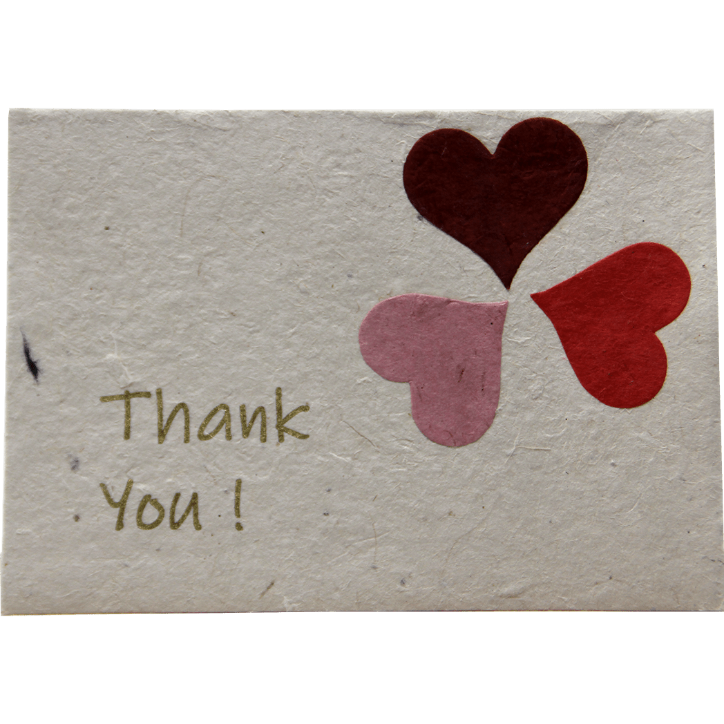 Monk Paper Thank You Note with Cornflower Petal Envelope - pack of 12 - Pen Boutique Ltd