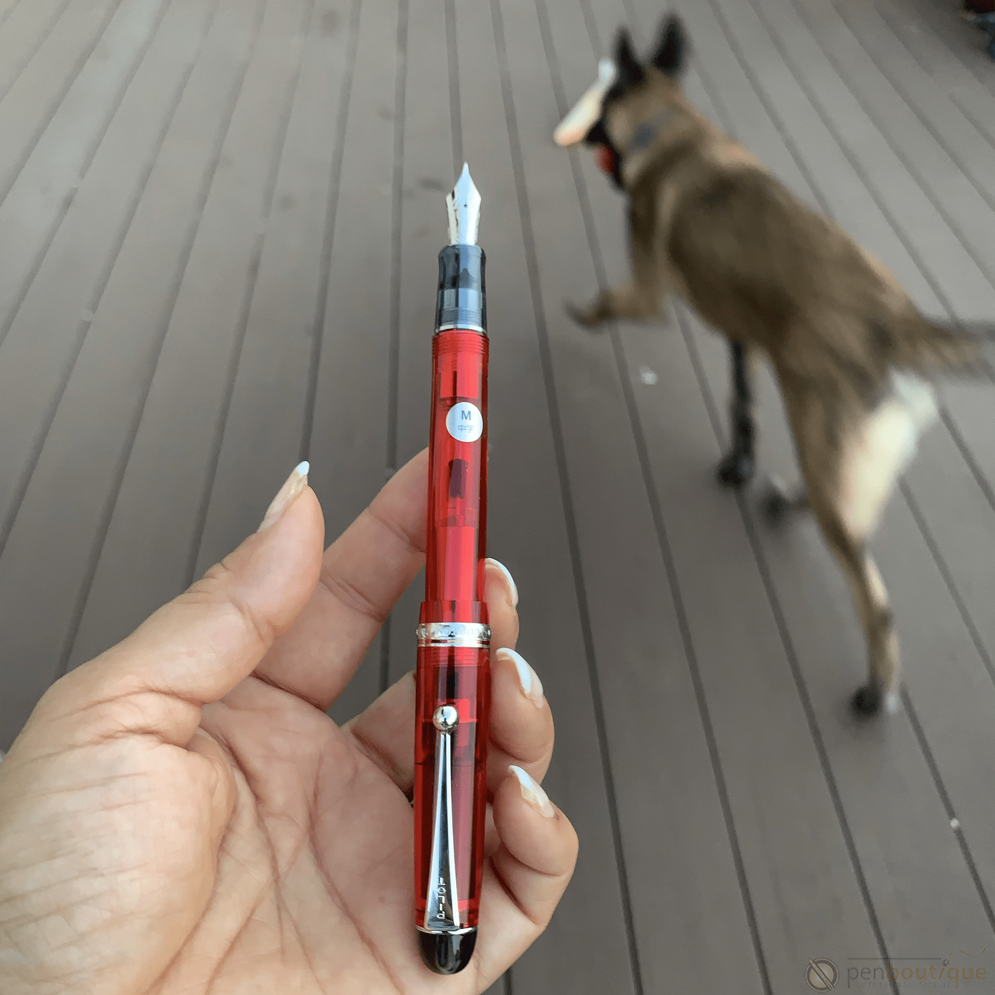 Pilot Custom 74 Fountain Pen - Grenadine - Pen Boutique Ltd