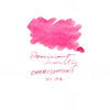 Dominant Industry Standard Ink Bottle - Cherishment Key No. 14 - 25ml - Pen Boutique Ltd