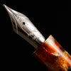 Delta x Pen Boutique Duna Fountain Pen - Holi Rang (Limited Edition ) Piston Filler - Pen Boutique Ltd