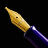 Benu Euphoria Fountain Pen - Opera - Pen Boutique Ltd