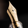 Platinum 3776 Century Ver 2.0 Fountain Pen - Demonstrator (Limited Edition) - Pen Boutique Ltd