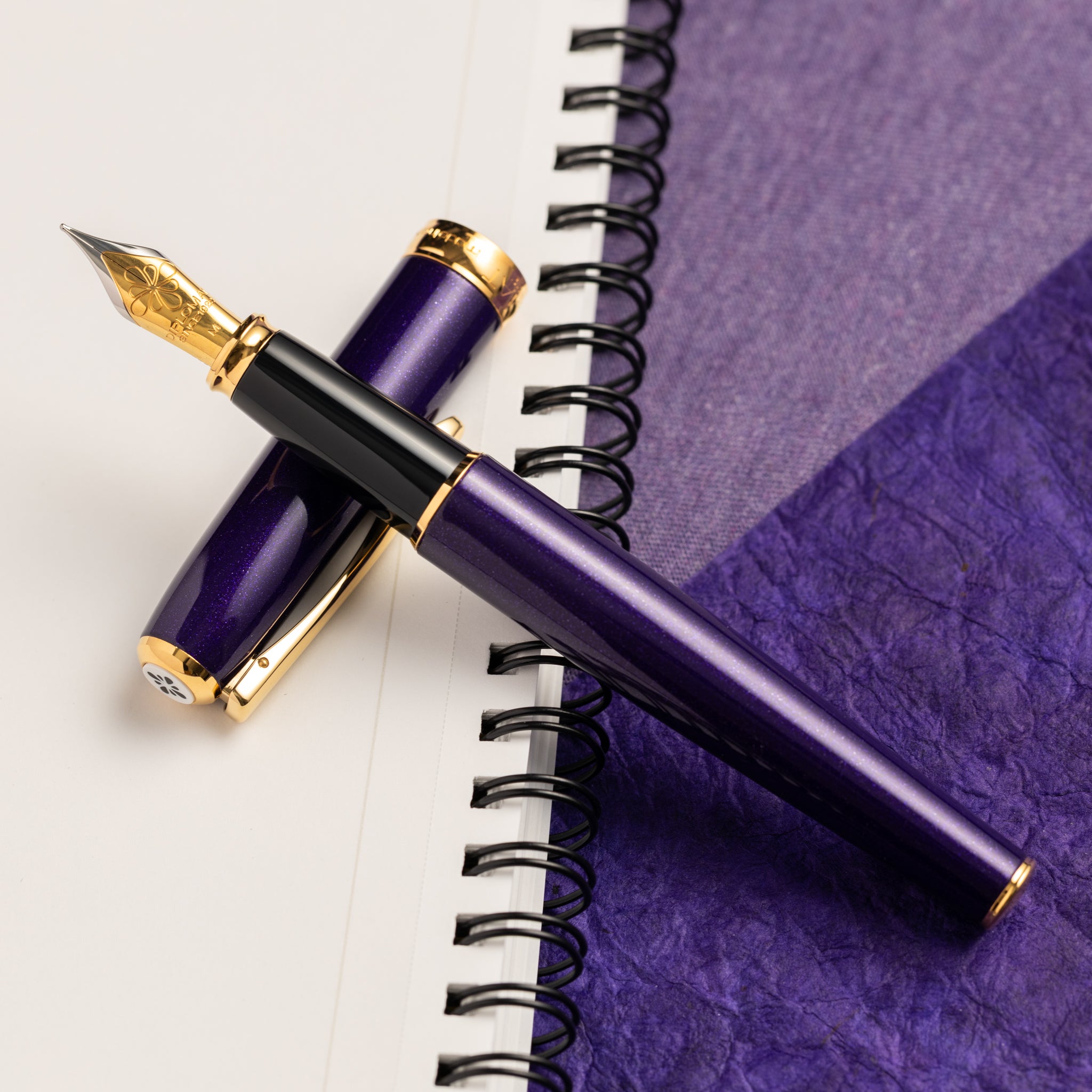 Diplomat Excellence A2 Fountain Pen - Violet Rain - 14K - Pen Boutique Ltd