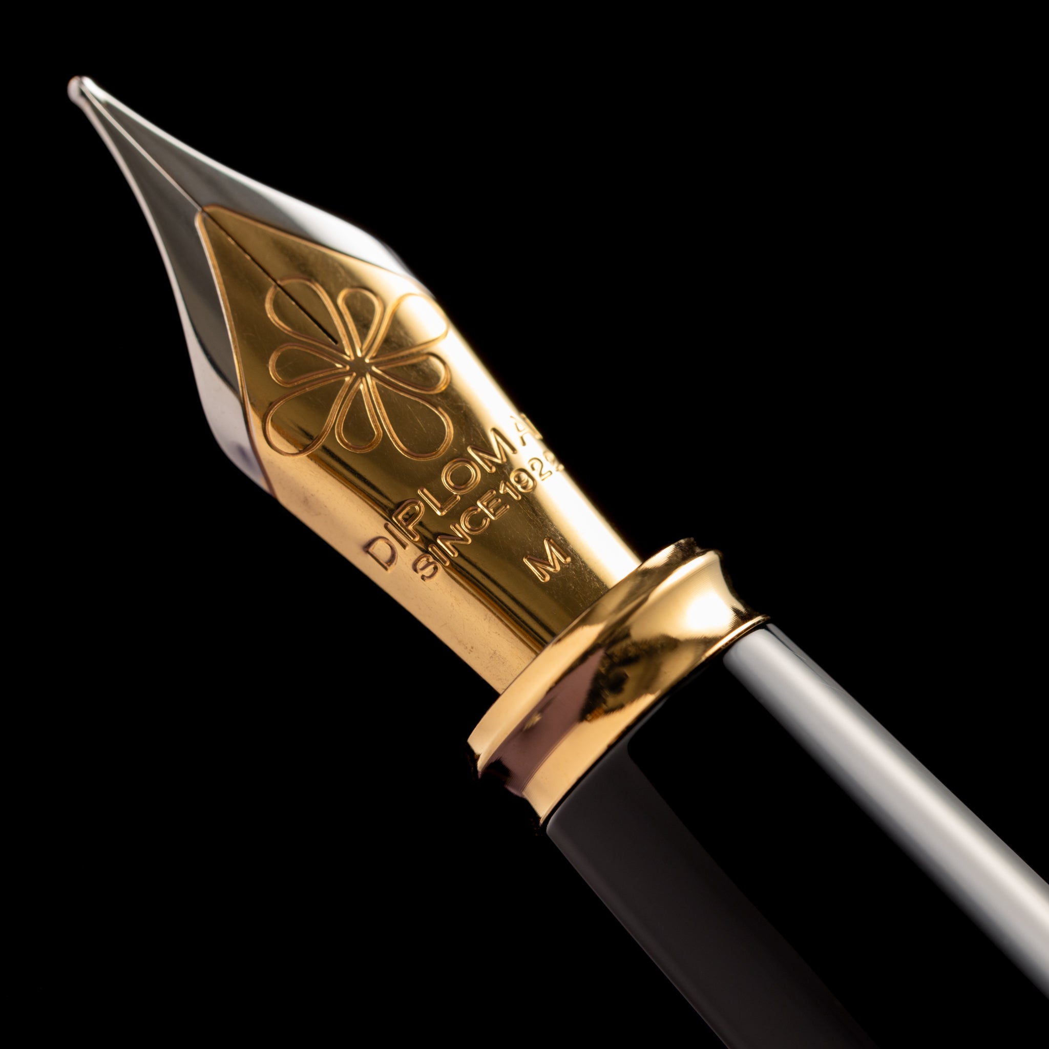 Diplomat Excellence A2 Fountain Pen - Violet Rain - 14K - Pen Boutique Ltd