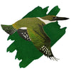 Anderillium Avian Ink - Kingfisher Green - 1.5 oz - Pen Boutique Ltd