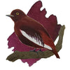 Anderillium Avian Ink - Pompadour Cotinga Burgundy - 1.5 oz - Pen Boutique Ltd