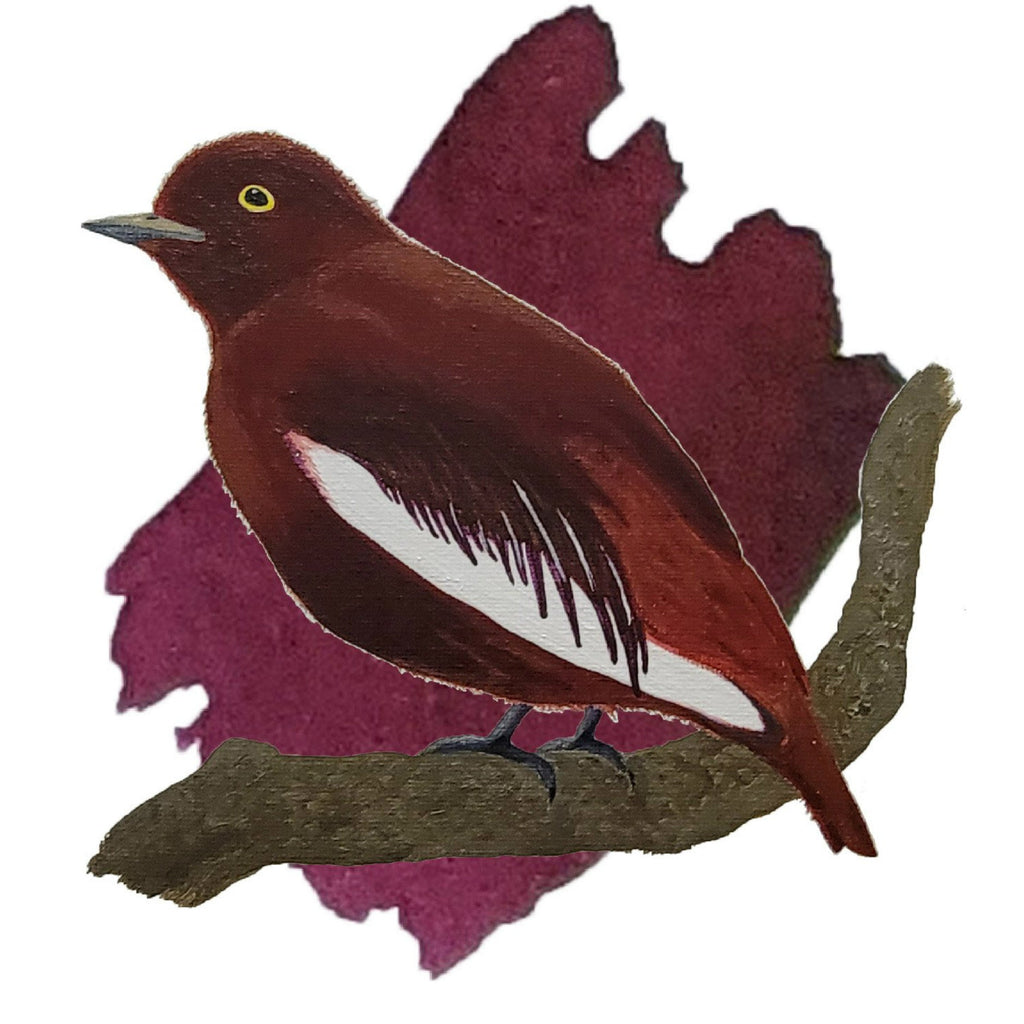 Anderillium Avian Ink - Pompadour Cotinga Burgundy - 1.5 oz - Pen Boutique Ltd