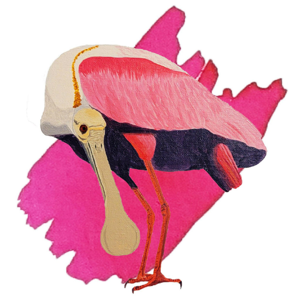 Anderillium Avian Ink - Roseate Spoonbill Pink - 1.5 oz - Pen Boutique Ltd