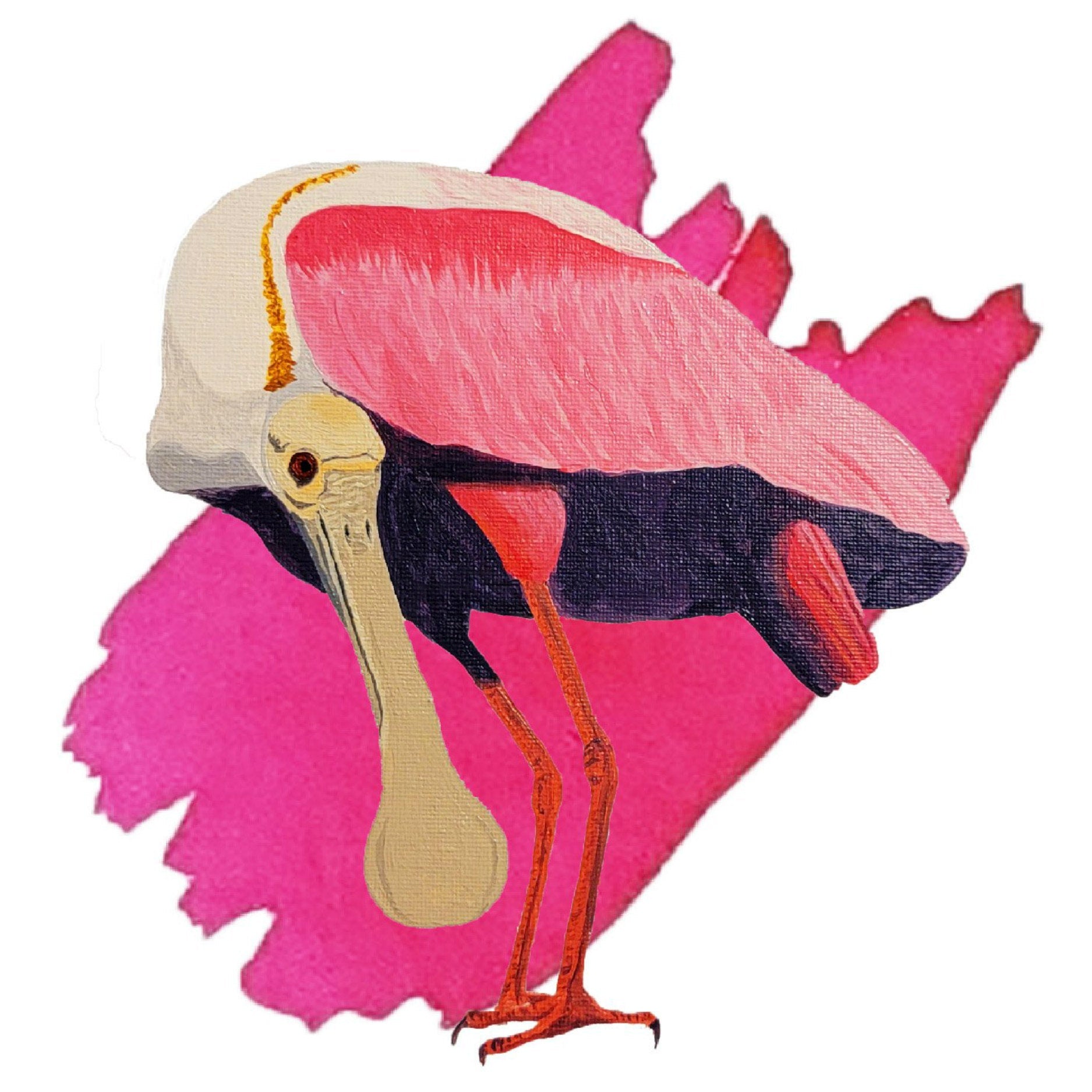Anderillium Avian Ink - Roseate Spoonbill Pink - 1.5 oz - Pen Boutique Ltd