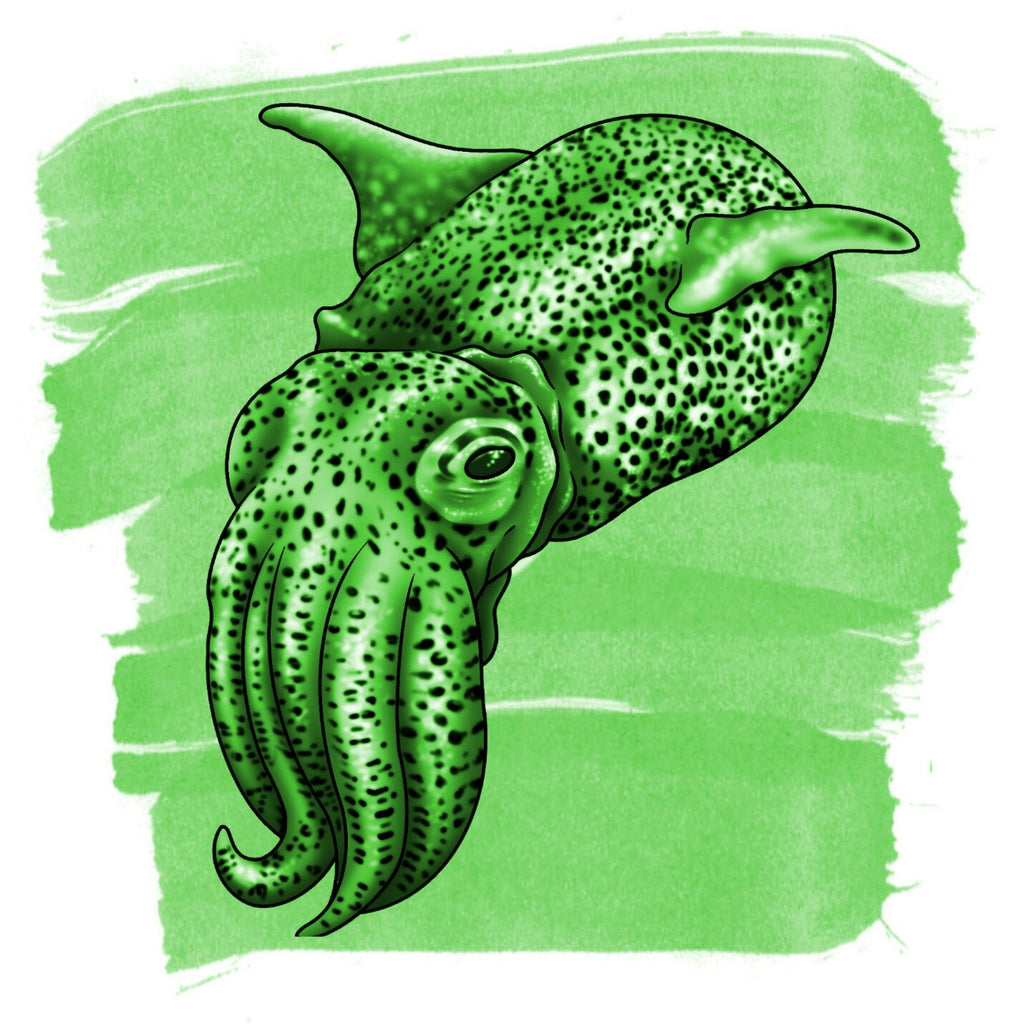 Anderillium Cephalopod Ink - Bobtail Squid Green - 1.5 oz - Pen Boutique Ltd