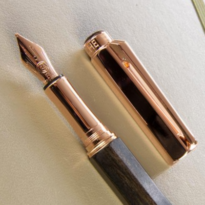 Caran D' Ache Fountain Pens