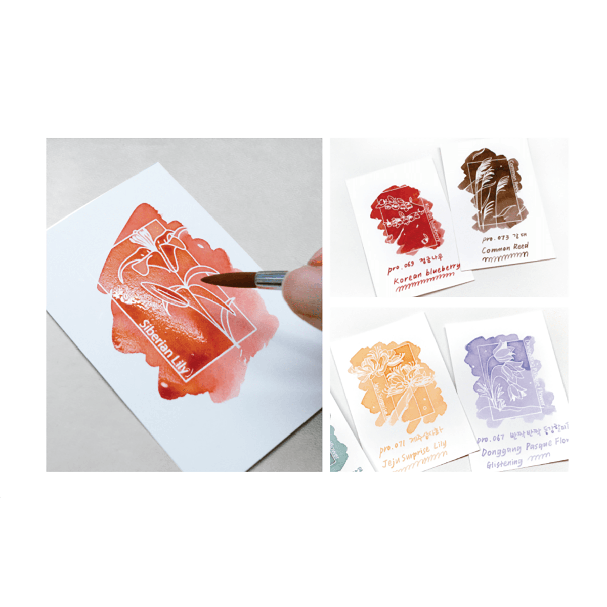 Colorverse Coloring Sheets - WildflowerB - Pen Boutique Ltd
