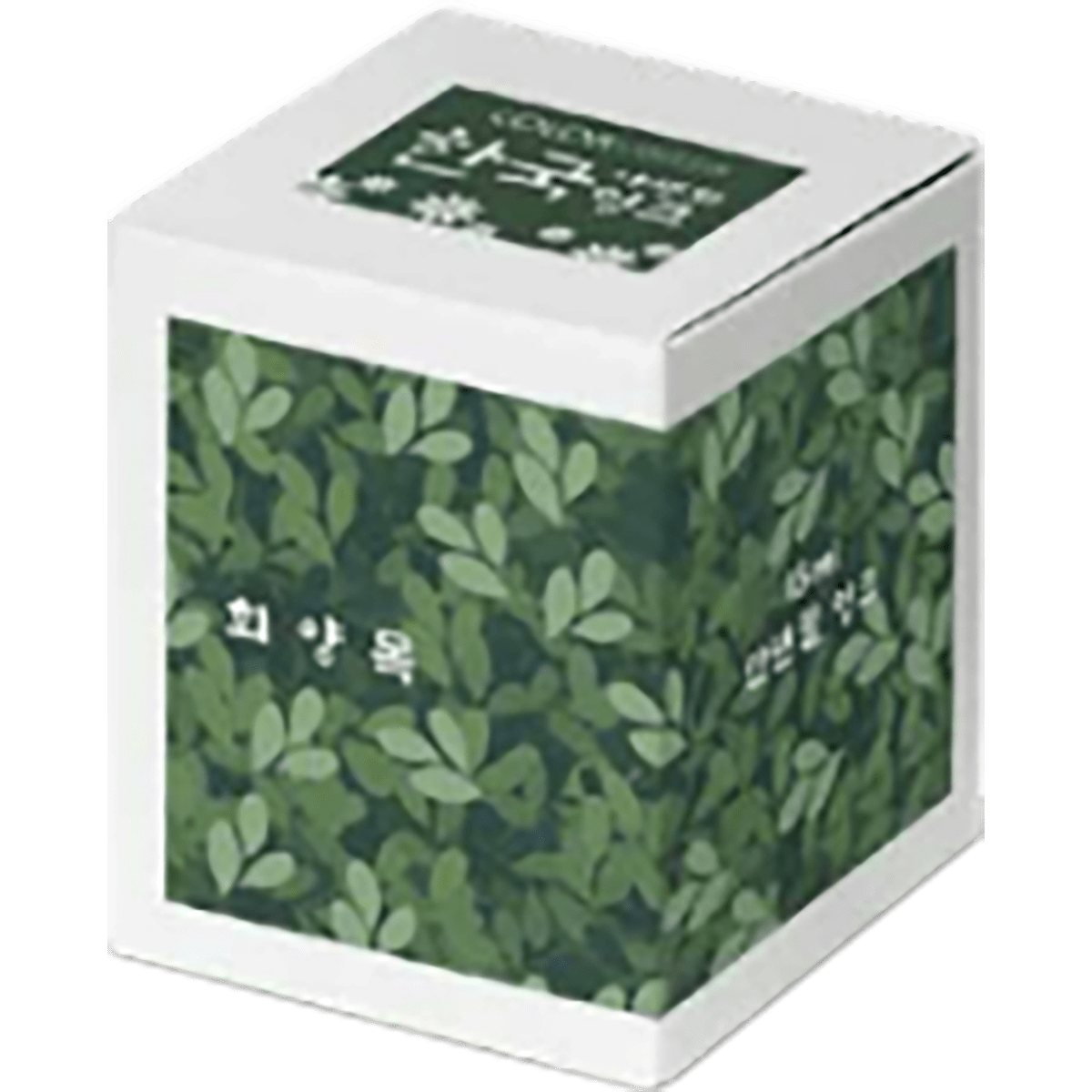 Colorverse Korea Wildflower Special Ink Bottle - Boxwood (No. 064) - 15 ml - Pen Boutique Ltd