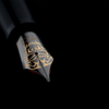 Delta Indigenous People Fountain Pen - Simbu Dancing Skeletons - Black - Silver Cage (Limited Edition) - Pen Boutique Ltd