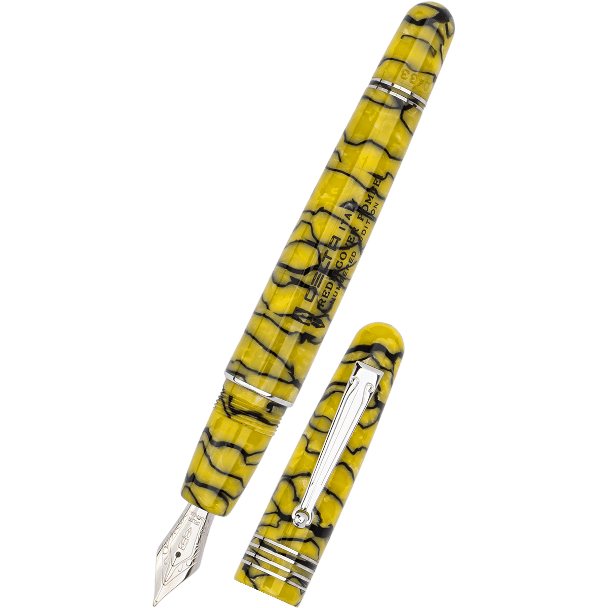 Delta Limited Edition Fountain Pen - Rediscover Pompei - Pen Boutique Ltd