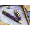 Delta Reservoir 2.0 Fountain Pen - Wisteria Walk - Yellow Gold Trim (Limited Edition) - Pen Boutique Ltd