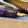 Delta Reservoir 2.0 Fountain Pen - Wisteria Walk - Yellow Gold Trim (Limited Edition) - Pen Boutique Ltd