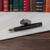 Delta Signs of the Time Fountain Pen - Classical Medieval Art (Numbered Edition) - Pen Boutique Ltd