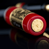 Delta Limited Edition Fountain Pen - Nino Marino 2025 Signature Jvbilaeum - Pen Boutique Ltd