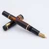 Delta DV Original Fountain Pen - Glow Up "KP" - Pen Boutique Ltd