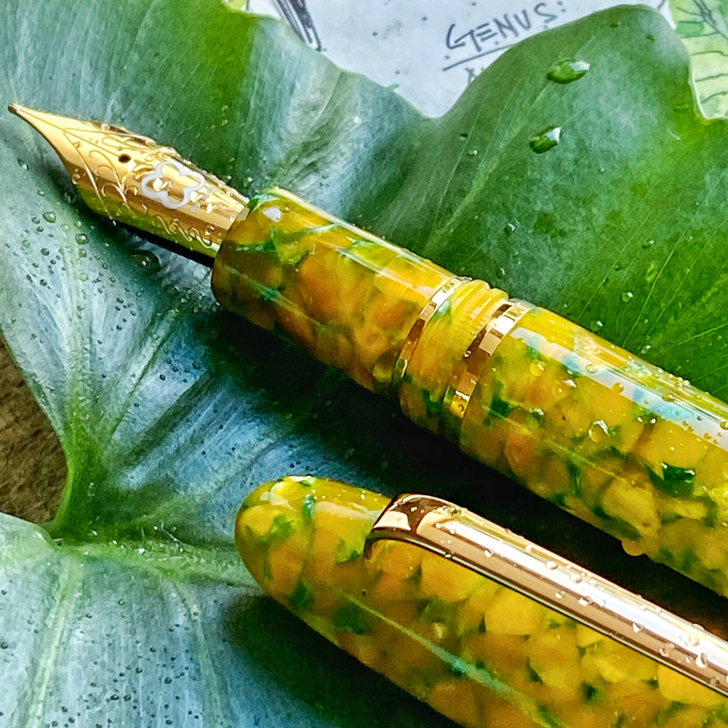 Esterbrook Estie Fountain Pen - Tropical Rain Forest - Stainless (Oversized) - Pen Boutique Ltd