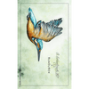 Esterbrook x BUNGUBOX Blotter Paper - The Kachofugetsu Kingfisher - Pen Boutique Ltd