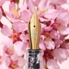 Esterbrook x BUNGUBOX Estie Fountain Pen - The Kachofugetsu Flower - Cherry Blossom (Limited Edition) - Pen Boutique Ltd
