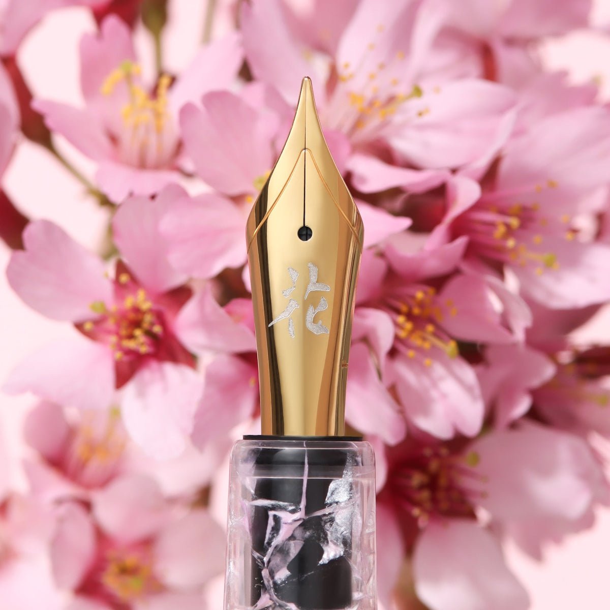 Esterbrook x BUNGUBOX Estie Fountain Pen - The Kachofugetsu Flower - Cherry Blossom (Limited Edition) - Pen Boutique Ltd