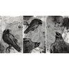 Esterbrook Blotter Paper - Raven - Pen Boutique Ltd