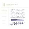 Ferris Wheel Press Ink Bottle - Bayou Berry Mist  - 38ml - Pen Boutique Ltd