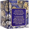 Ferris Wheel Press FerriTales Ink Bottle - King Midas Tides of Midas - 20ml - Pen Boutique Ltd