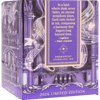 Ferris Wheel Press Ink Bottle - Twilight Symphony - 20ml (Limited Edition) - Pen Boutique Ltd