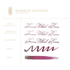 Ferris Wheel Press The Book of Knights Ink Bottle - Bloom of Ascension - 85ml - Pen Boutique Ltd