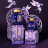 Ferris Wheel Press Ink Bottle - Twilight Symphony - 20ml (Limited Edition)-Pen Boutique Ltd