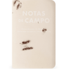 Field Notes Memo Book - Summer 2026 Paletas 3-Pack A (71st Quarterly Limited Edition) - Pen Boutique Ltd