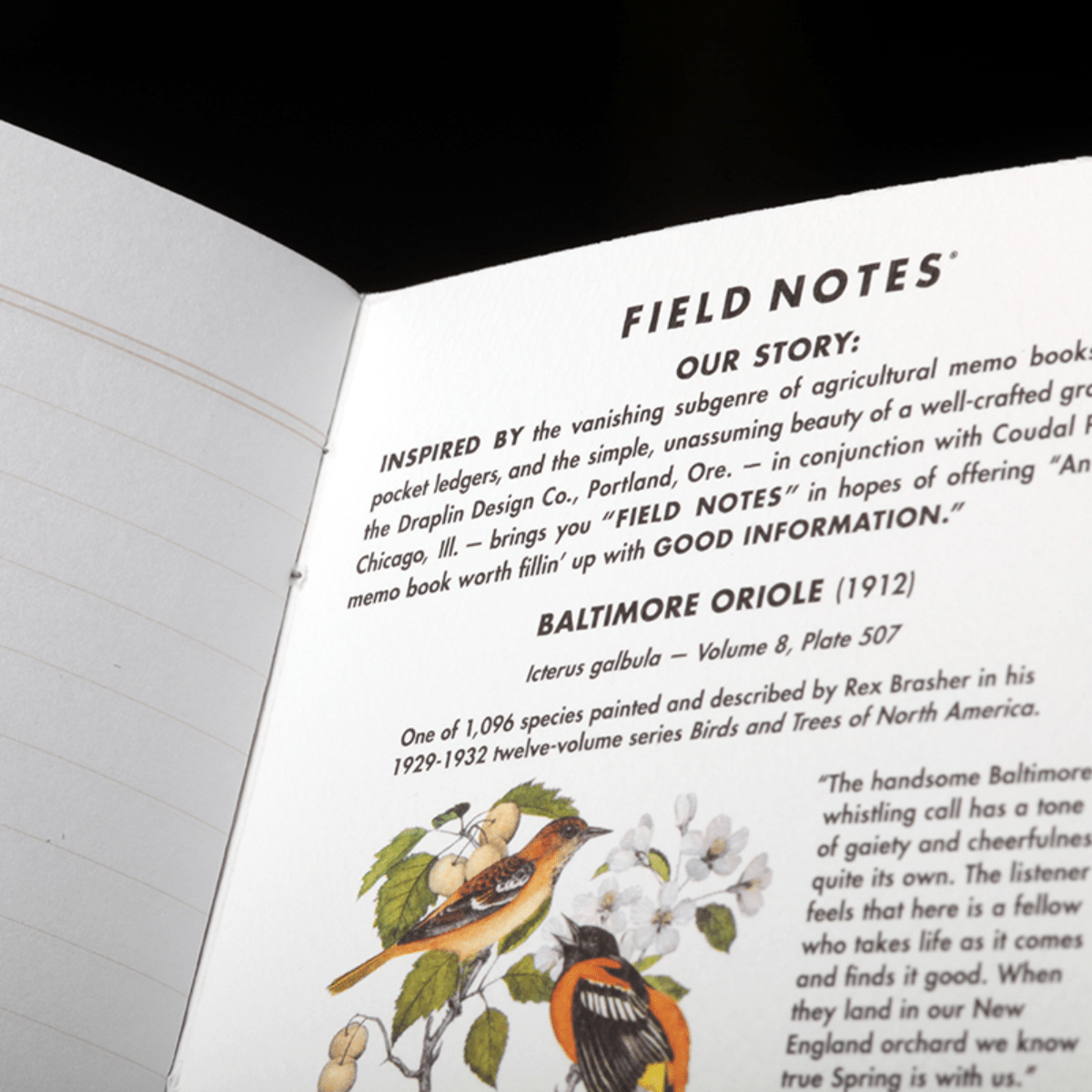 Field Notes Memo Book - The Birds and Trees (North America Edition) - Pen Boutique Ltd
