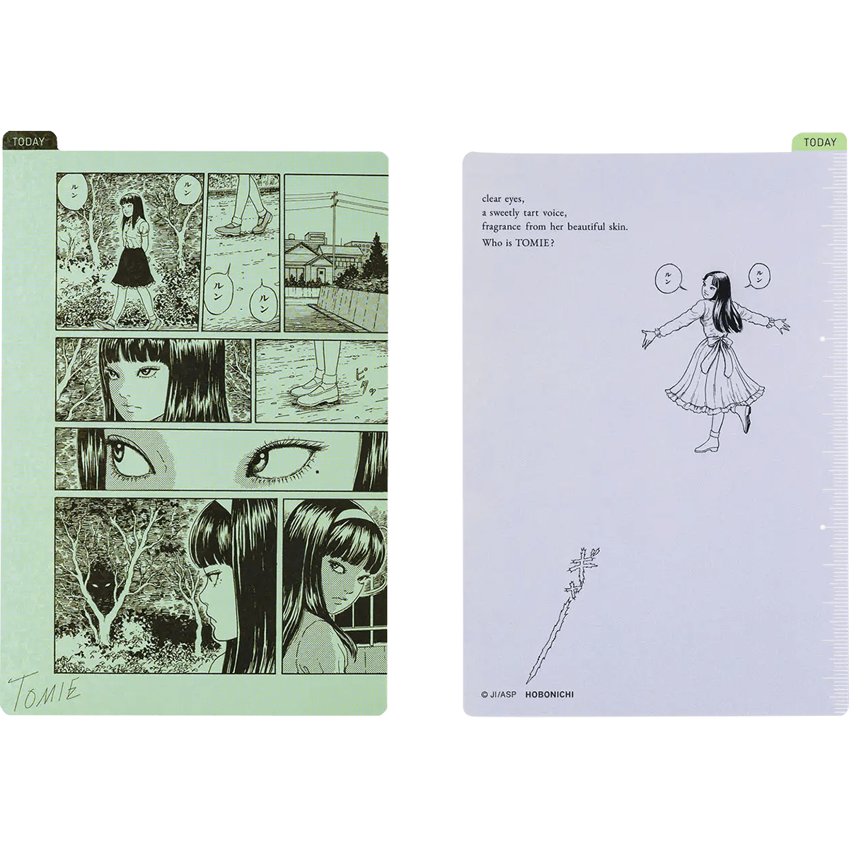 Hobonichi Pencil Board - Junji Ito - A6 (Tomie) - Pen Boutique Ltd