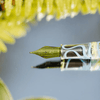Nahvalur Original Plus Fountain Pen - Spring - Pen Boutique Ltd