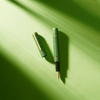 Nahvalur 365 Anniversary Fountain Pen - Jade (2025 Annual Limited Edition) - Pen Boutique Ltd