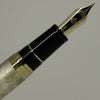 Sailor Bespoke Fountain Pen - Nawate Furubihaku - Sui - Pen Boutique Ltd
