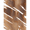 Dominant Industry Standard Ink Bottle - November leaves - 25ml - Pen Boutique Ltd